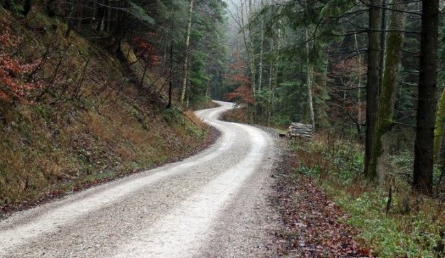 B TİPİ ORMAN YOLU YAPTIRILACAKTIR